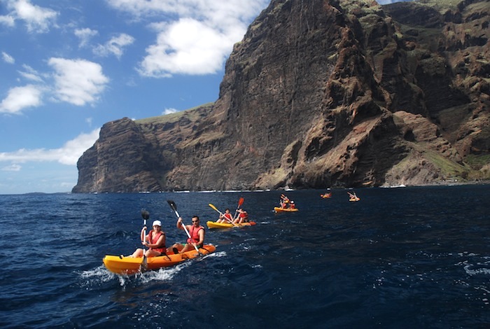 Escursione Cetacean watching & kayaking at los gigantes cliffs and masca