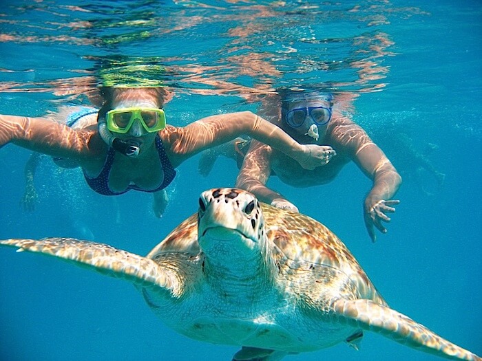 Excursion Swimming & snorkeling with turtles