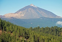 Teide national park by bus, with official guide