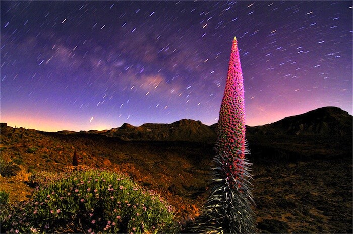 Excursion Stargazing at the teide national park by night